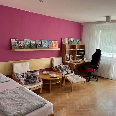 Ferienwohnung Ubytovani V Soukromi S Infrasaunou, Bezeckym Pasem A Cyklotrenazerem Jeseník Exterior foto